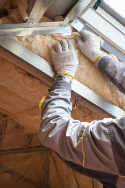 Best Insulation for New Construction  in South Gull Lake, MI